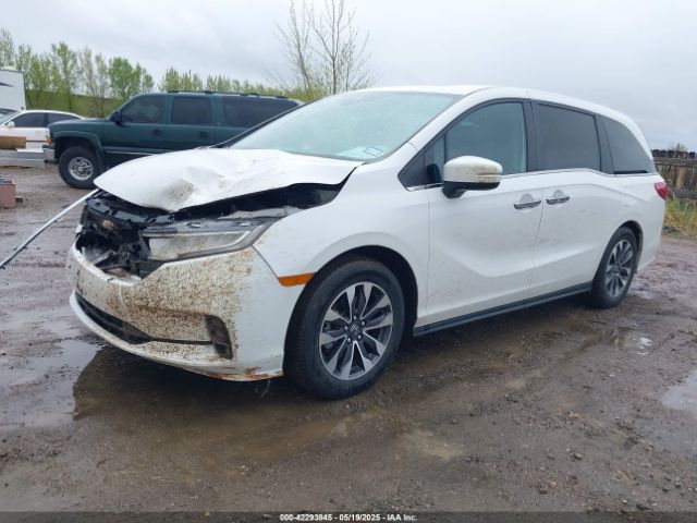 5FNRL6H68RB070774 Honda Odyssey Ex-l