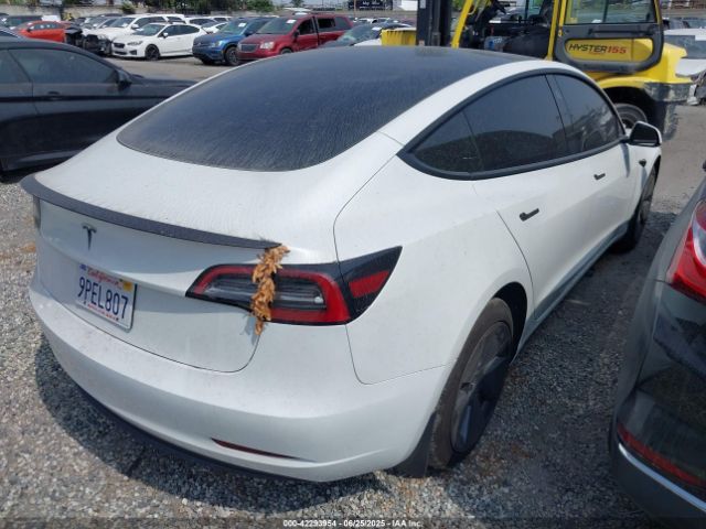 5YJ3E1EA7PF587797 Tesla 2023