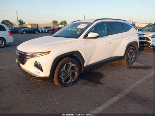 KM8JBDA24PU127385 Hyundai Tucson Plug-in Hybrid Sel
