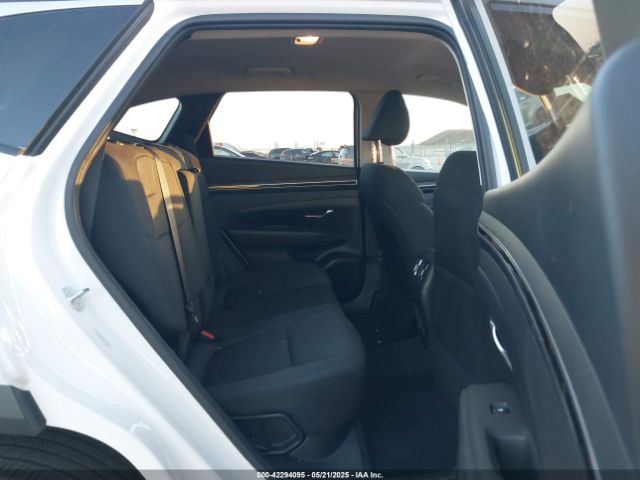KM8JBDA24PU127385 Hyundai Tucson Plug-in Hybrid Sel