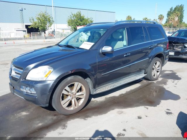 2010 MERCEDES-BENZ GL 450 4JGBF7BE3AA594454 Photo 1