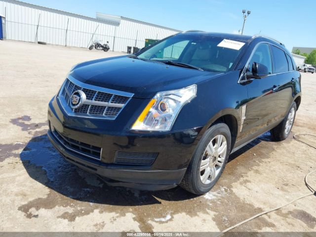 2010 CADILLAC SRX 3GYFNAEYXAS515687 Photo 1