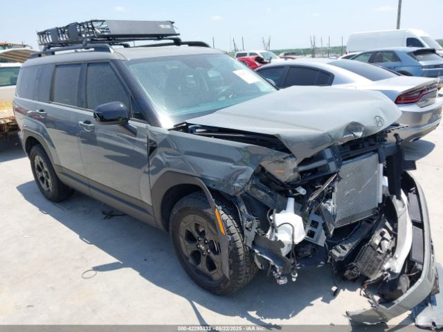 2024 HYUNDAI SANTA FE 5NMP3DGL9RH024212