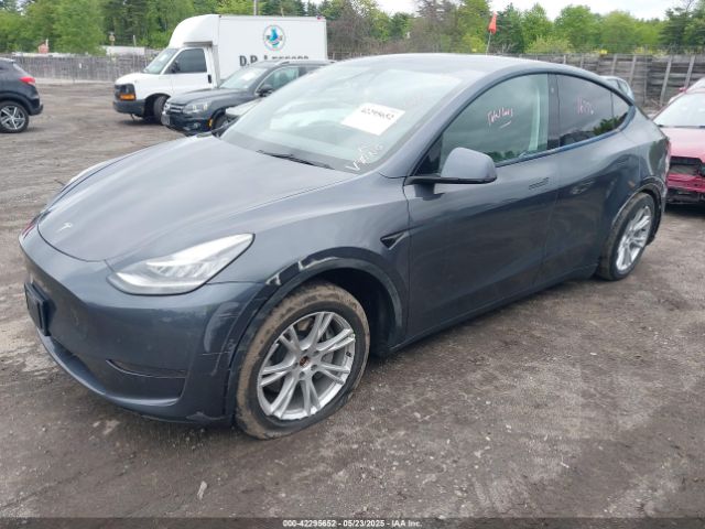 2021 TESLA MODEL Y 5YJYGDEE6MF146341 Photo 1