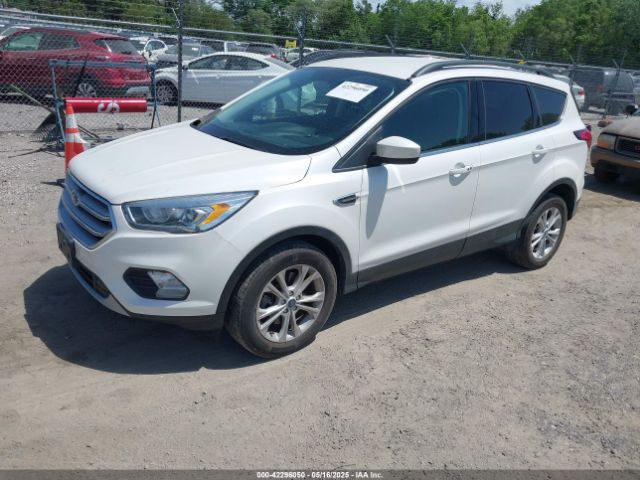 2019 FORD ESCAPE 1FMCU9HD5KUB19019 Photo 1