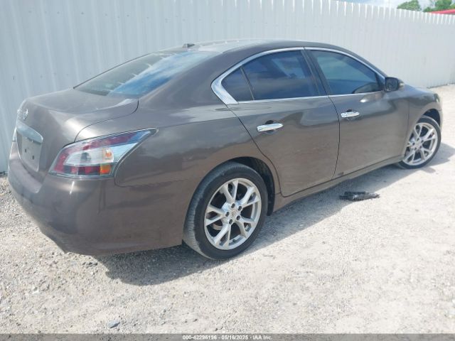 1N4AA5APXEC453564 Nissan Maxima 3.5 S/3.5 Sv