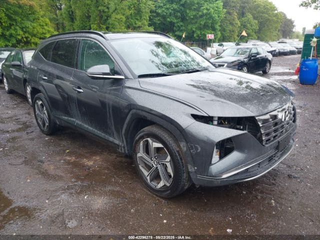 2023 HYUNDAI TUCSON 5NMJECAE8PH280116