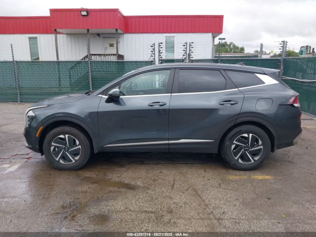 KNDPUCDG7R7137579 KIA Sportage Hybrid Lx