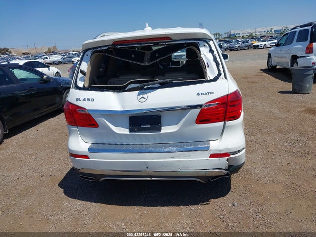 Mercedes-Benz Gl 450 4matic 2016 4JGDF6EE9GA694159 Image 17