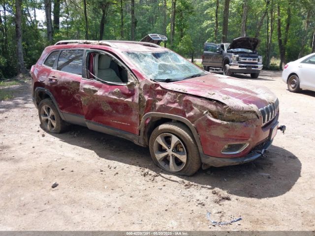 2020 JEEP CHEROKEE 1C4PJMDN8LD602361