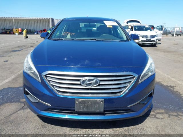 5NPE24AF7HH559408 Hyundai Sonata