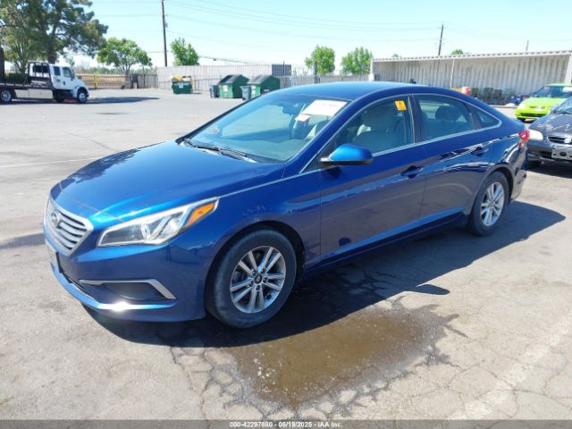 5NPE24AF7HH559408 Hyundai Sonata