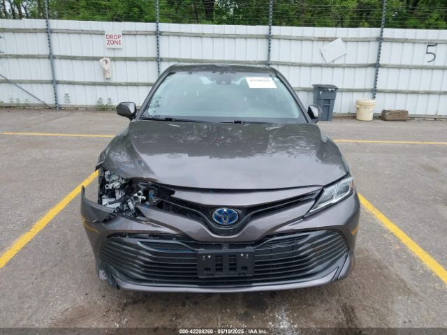 4T1B31HK4KU511360 Toyota Camry Hybrid Le