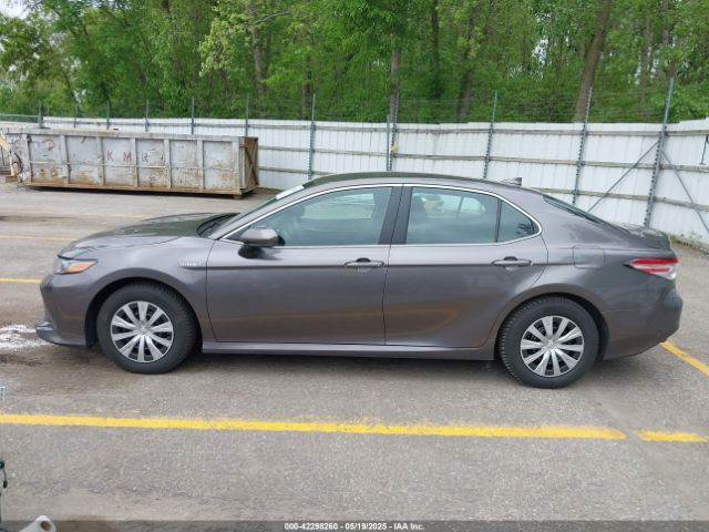 4T1B31HK4KU511360 Toyota Camry Hybrid Le