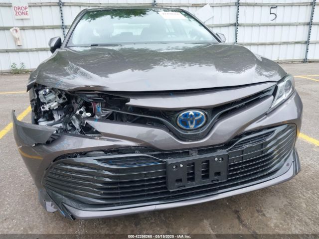 4T1B31HK4KU511360 Toyota Camry Hybrid Le