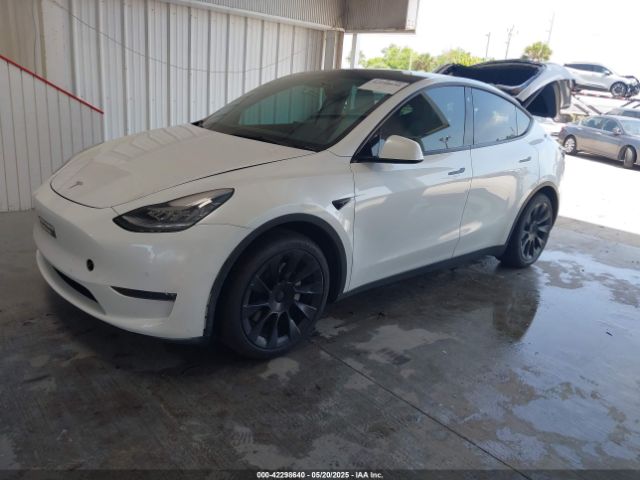 2021 TESLA MODEL Y 5YJYGAEE6MF202406 Photo 1