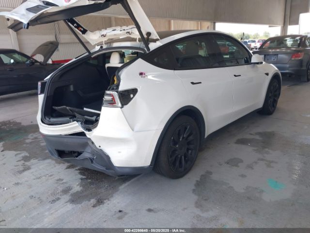 2021 TESLA MODEL Y 5YJYGAEE6MF202406 Photo 3