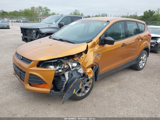 Ford Escape 2016 1FMCU0F72GUB12500 Image 2