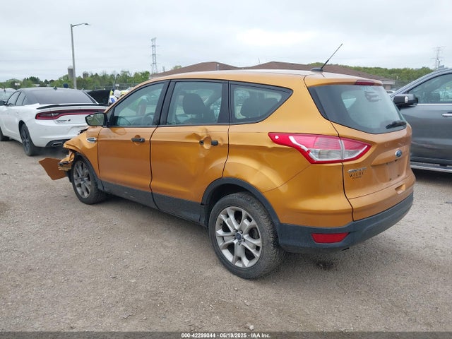 Ford Escape 2016 1FMCU0F72GUB12500 Image 3
