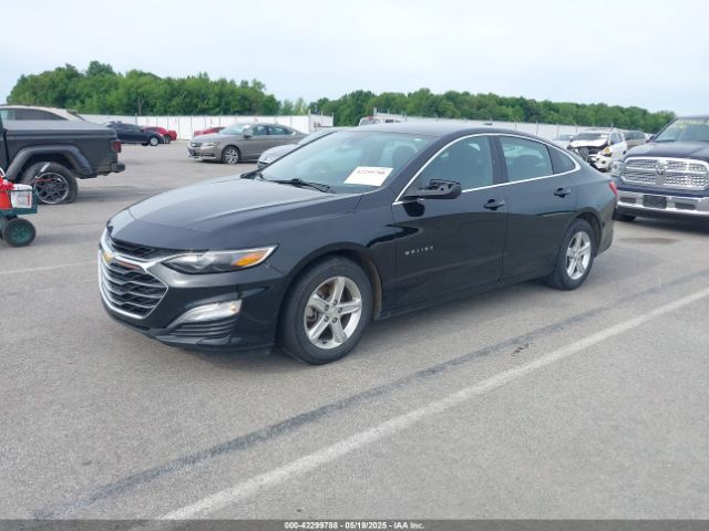 2022 CHEVROLET MALIBU 1G1ZC5ST9NF166565 Photo 1