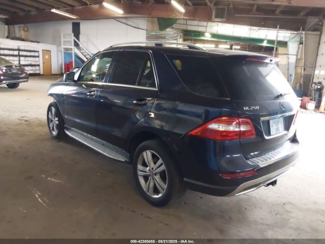 2015 MERCEDES-BENZ ML 250 BLUETEC 4JGDA0EB0FA499244 Photo 2