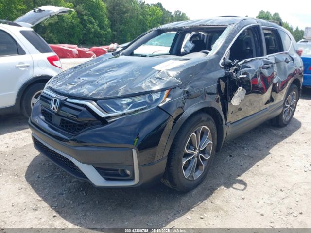 2020 HONDA CR-V 5J6RW1H51LL013655 Photo 1