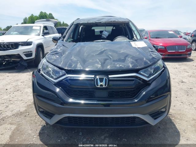 2020 HONDA CR-V 5J6RW1H51LL013655 Photo 5