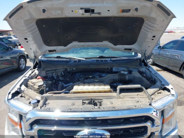 2021 FORD F-150 1FTEW1CP4MKD82871 Photo 9