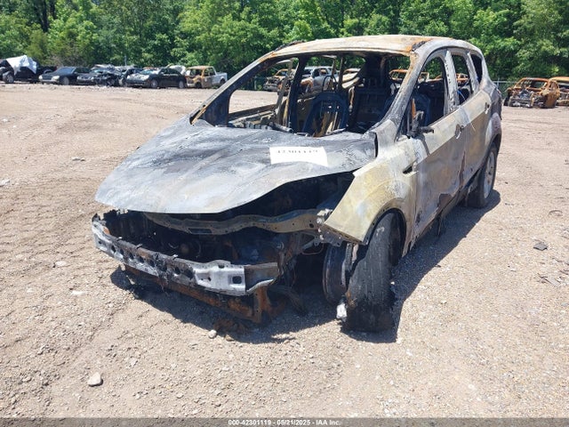 Ford 2014 2014 1FMCU9GX3EUB22887 Image 6