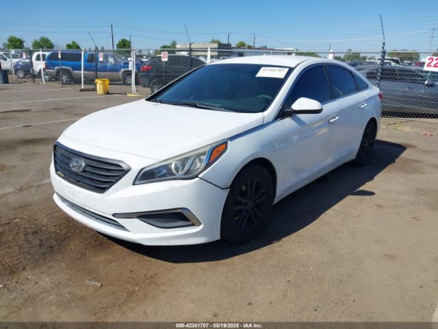5NPE24AF4HH575937 Hyundai Sonata