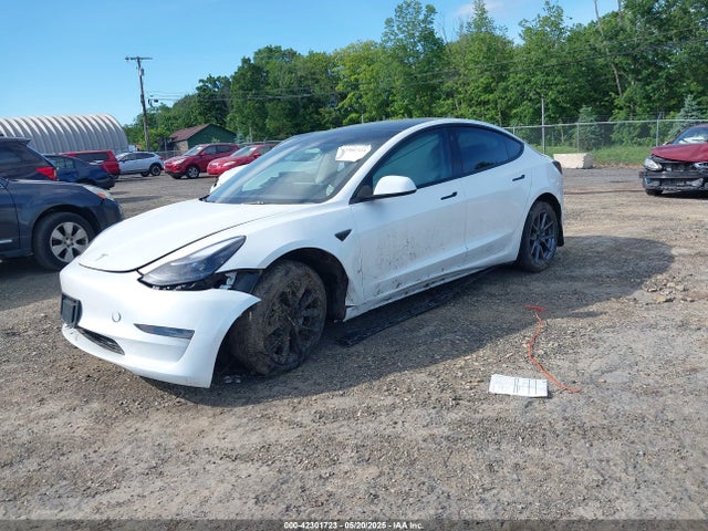 2023 TESLA MODEL 3 5YJ3E1EA8PF575061 Photo 1
