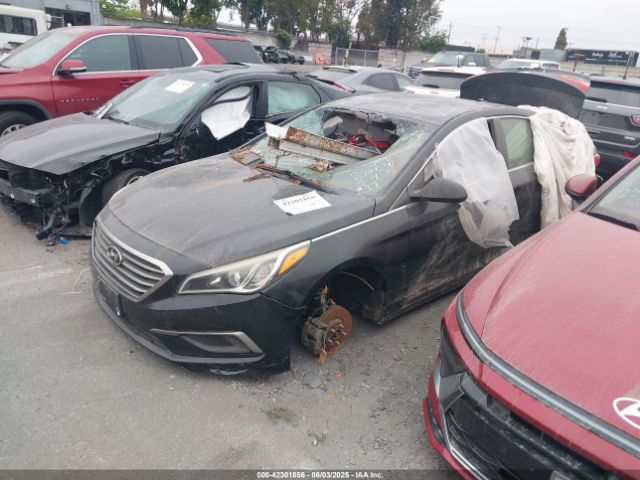 5NPE24AF6GH320950 Hyundai SONATA SE
