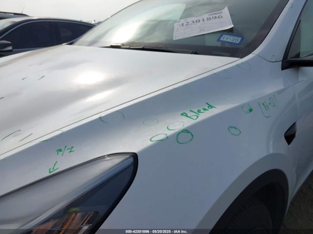 2021 TESLA MODEL Y 5YJYGDEE3MF068472 Photo 5