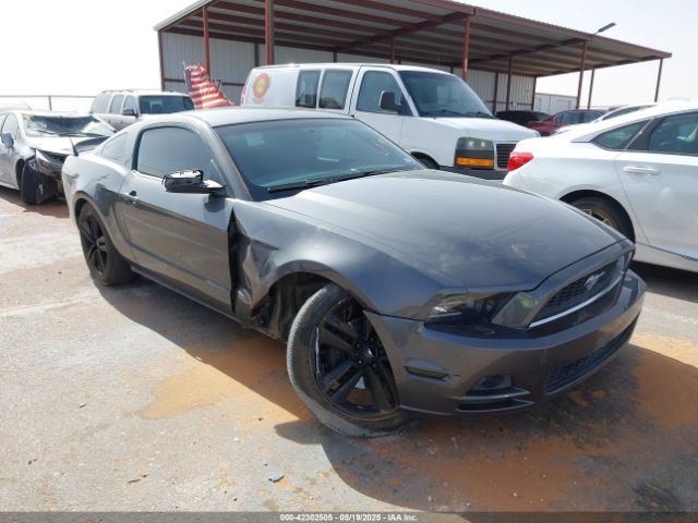 2013 FORD MUSTANG 1ZVBP8AM7D5268215