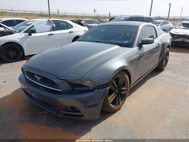 2013 FORD MUSTANG 1ZVBP8AM7D5268215 Photo 1