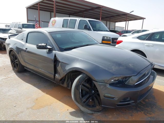2013 FORD MUSTANG 1ZVBP8AM7D5268215 Photo 5