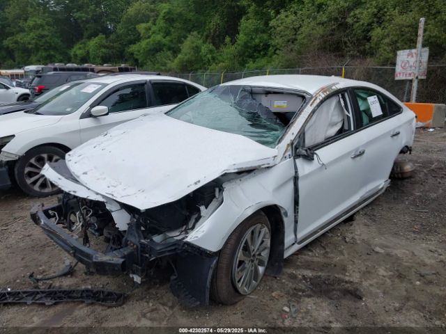 5NPE34AF9FH116090 Hyundai Sonata Sport