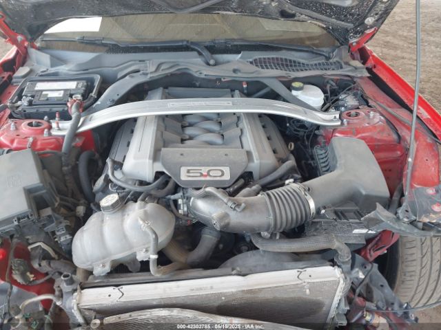 1FA6P8CF5F5431455 Ford Mustang Gt Premium