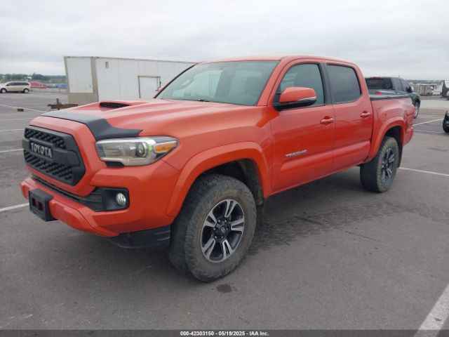3TMCZ5AN1GM011171 Toyota Tacoma Trd Sport