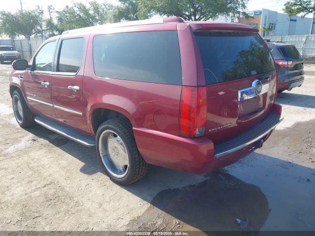 2007 CADILLAC ESCALADE ESV 1GYFK66867R262352 Photo 2
