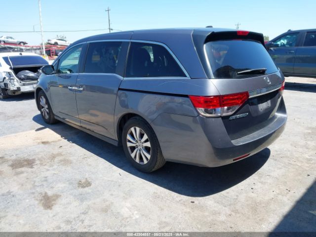 5FNRL5H62GB137747 Honda Odyssey Ex-l