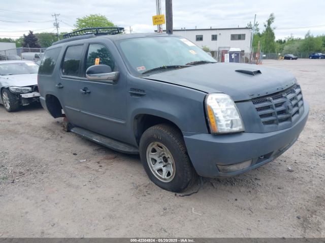 2010 CADILLAC ESCALADE 1GYUKBEF1AR158861