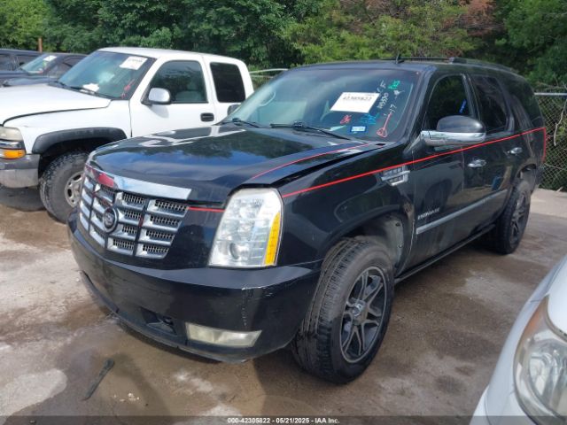 2011 CADILLAC ESCALADE 1GYS4CEF4BR143330 Photo 1
