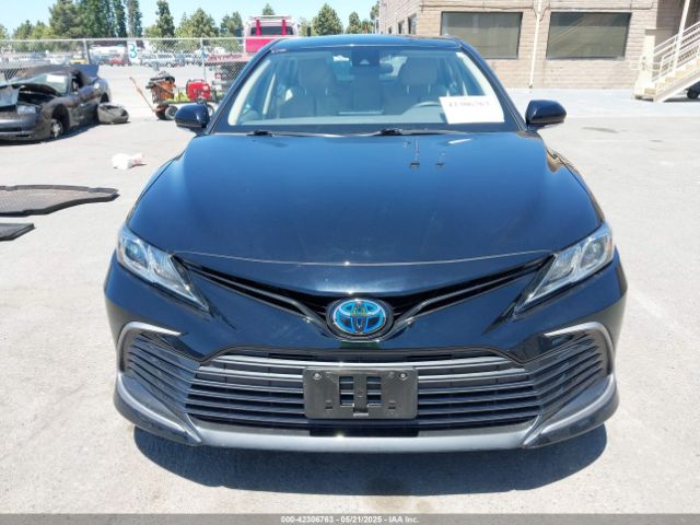 4T1C31AK2MU561188 Toyota Camry Le Hybrid