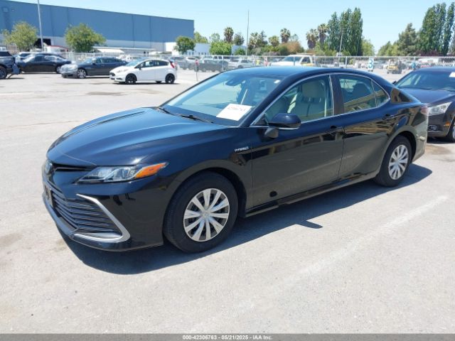 4T1C31AK2MU561188 Toyota Camry Le Hybrid