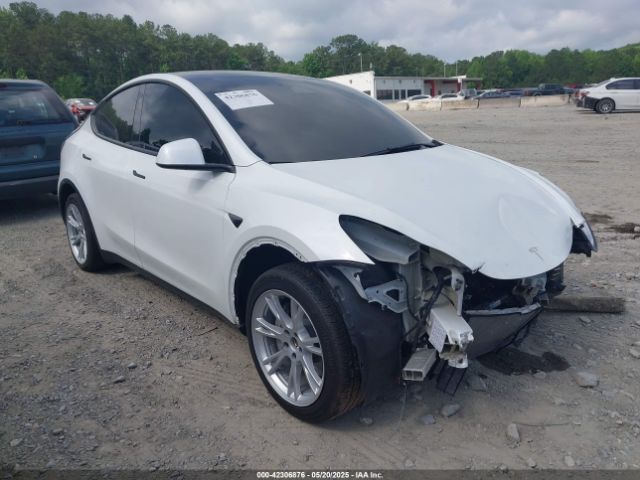 2023 TESLA MODEL Y 7SAYGDEE7PA146286 Photo 0