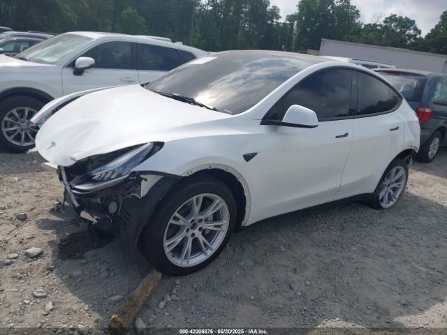 2023 TESLA MODEL Y 7SAYGDEE7PA146286 Photo 1