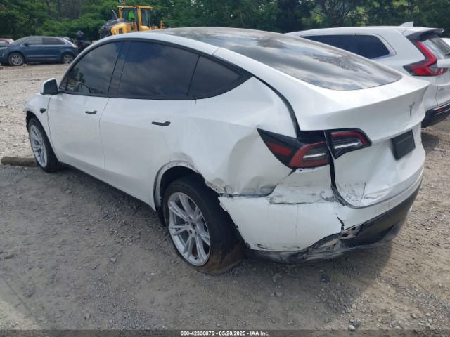 2023 TESLA MODEL Y 7SAYGDEE7PA146286 Photo 2