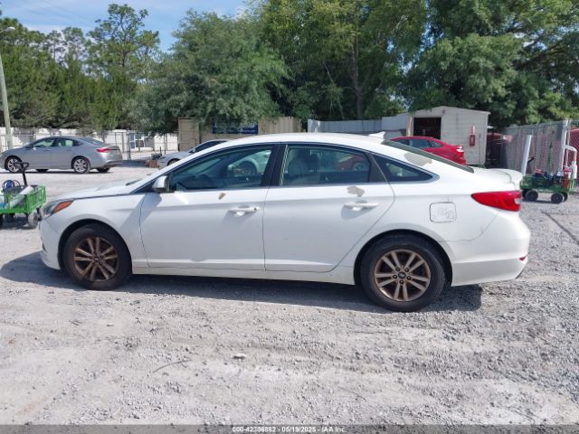 5NPE24AF3HH542721 Hyundai Sonata