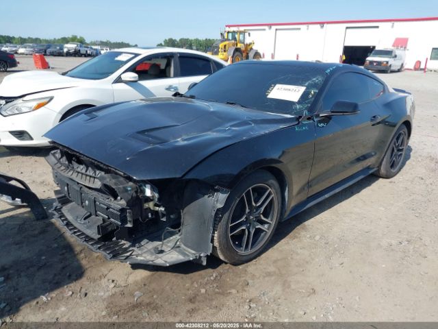 2020 FORD MUSTANG 1FA6P8TH8L5118039 Photo 1